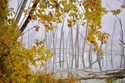 Lost Grove Lake