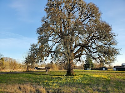 E.E. Wilson Wildlife Area