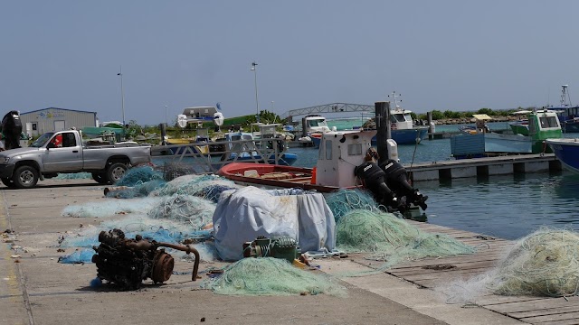 Gare Maritime et Commerciale