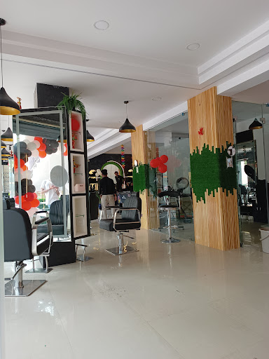 Gallery image 75