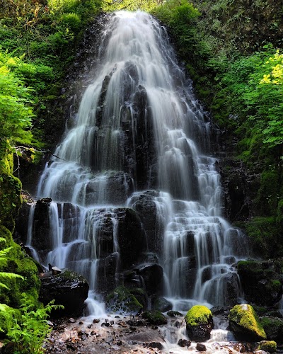 Mt. Hood National Forest