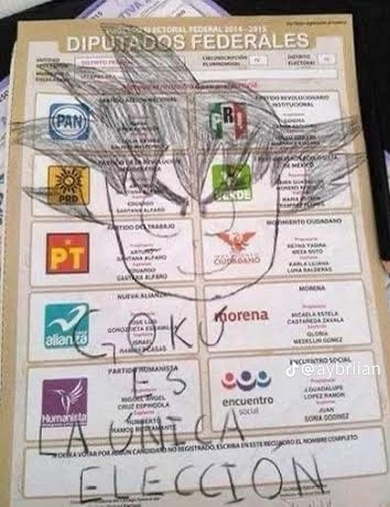 BODEGA AMAZON 2 - Visual