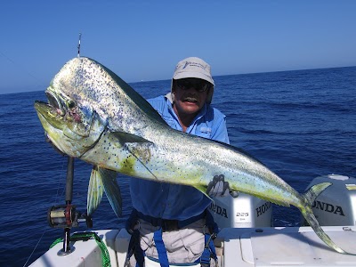 Photos of Arabian Divers & Sport Fishing Charters