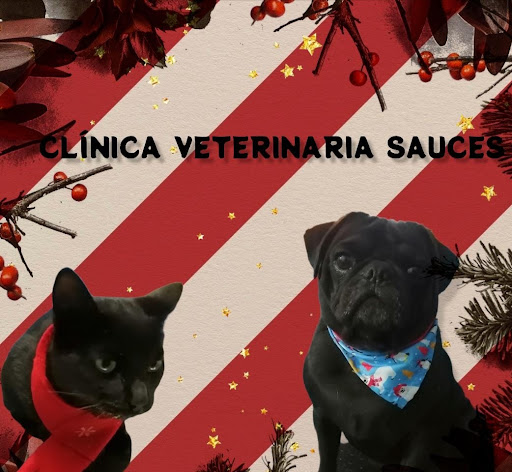 Clínica Veterinaria Sauces