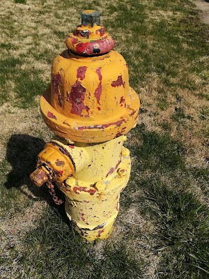 Findlay - Image 2