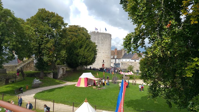 Château de Dourdan