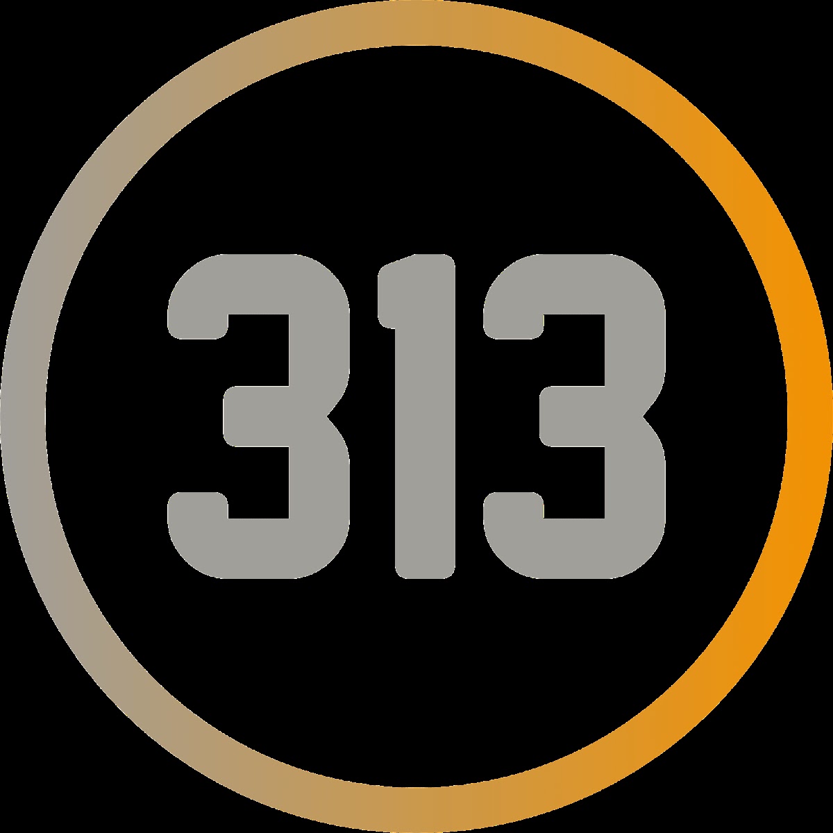 313 Commercial