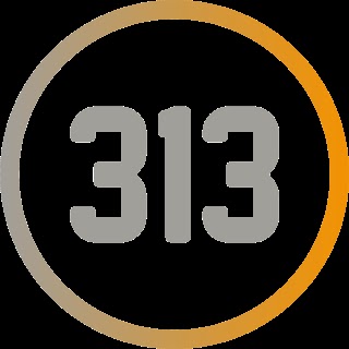 313 Commercial
