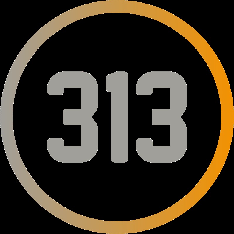 313 Commercial photo 2