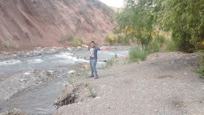 Photos of Camping El Monta&ntilde;&eacute;s