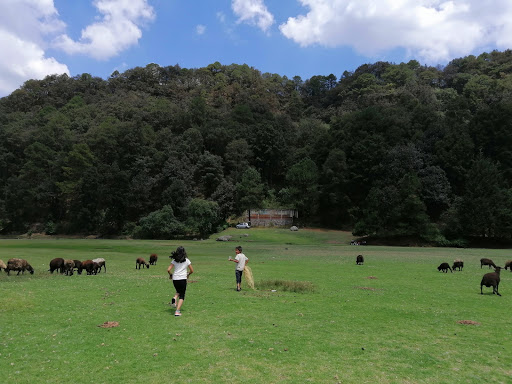 Presa de Molinitos - Thumbnail