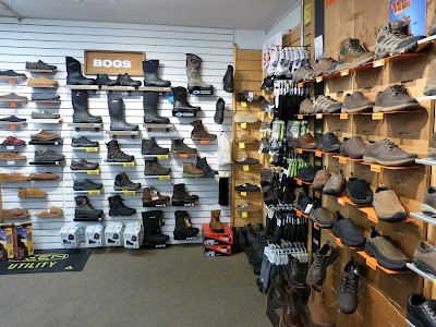 Danform Shoes Colchester