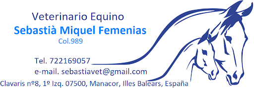 Veterinario Equino Sebastià Miquel