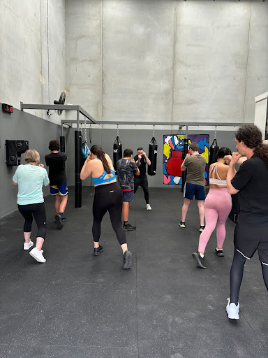 Michael's Pinnacle Fitness