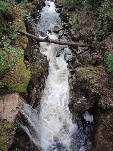 Coed y Brenin Forest Park - Thumbnail