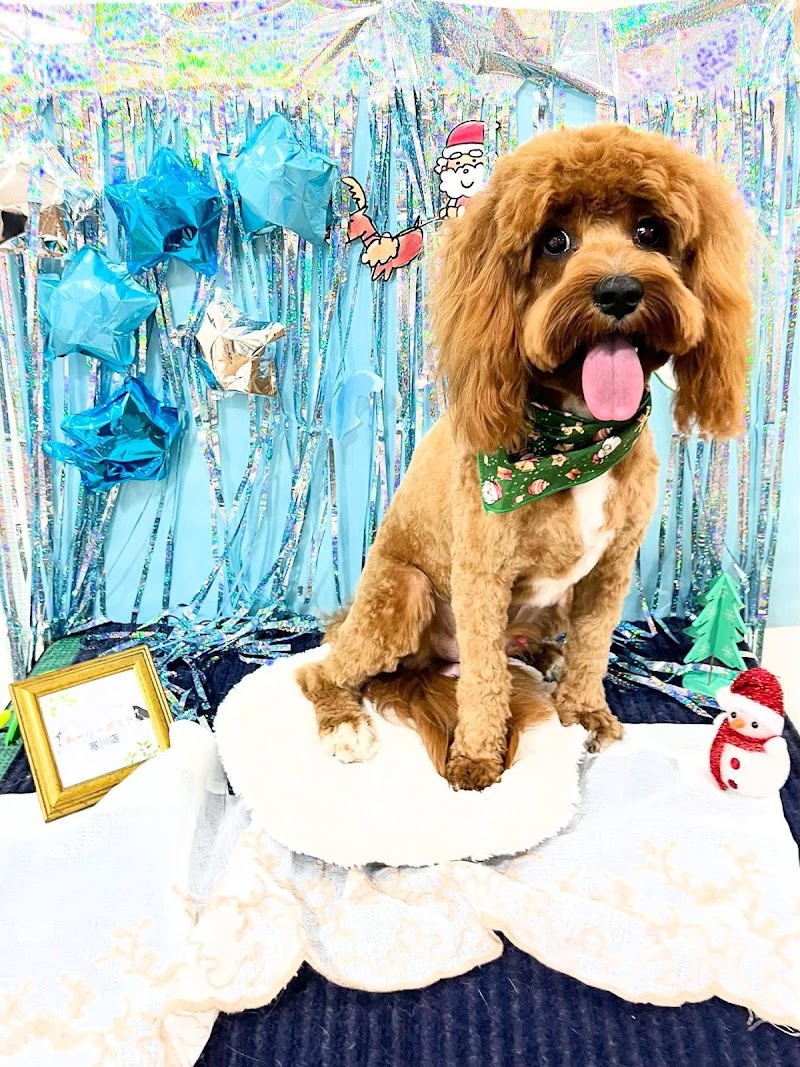 トーリーメイト寒川店