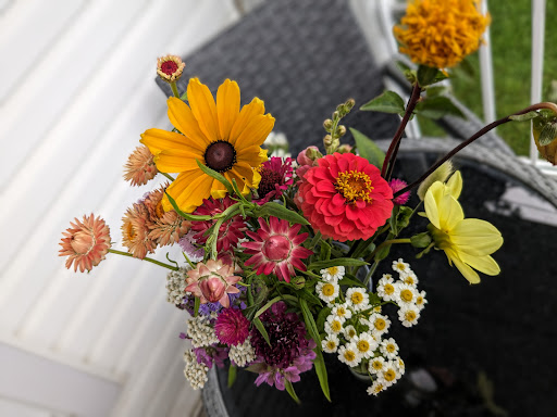 Ail Lys ferme florale - Thumbnail