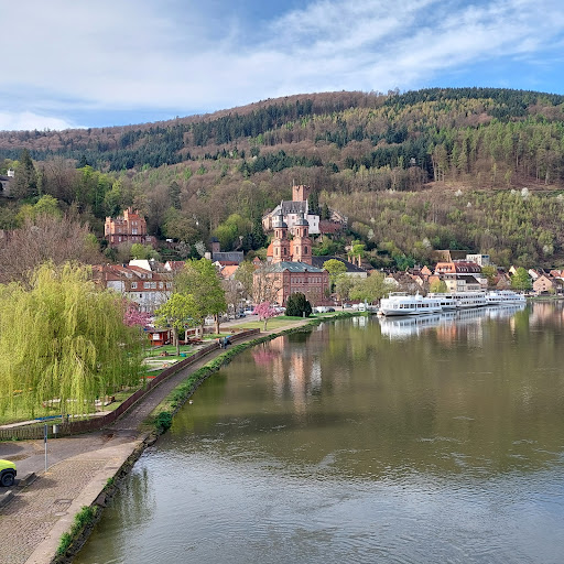 Miltenberg am Main
