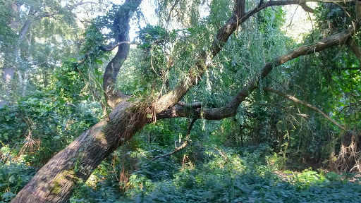 Camping club Grosse Ploetze e.V. Gallery - Germany