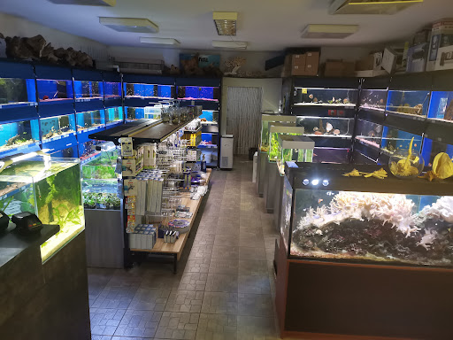 Aquarium Gubin - Thumbnail