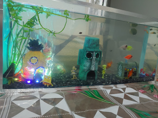 Acuario Caleb - Thumbnail