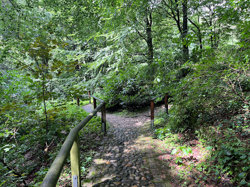 Wassertretstelle im Kurpark Tecklenburg - Thumbnail