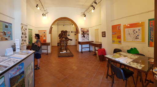 Centro Museografico Polivalente - Thumbnail