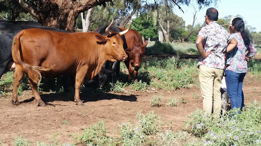 Agricultural Tours Riverina