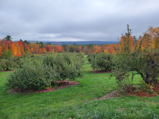 Five Fields Farm - Visual