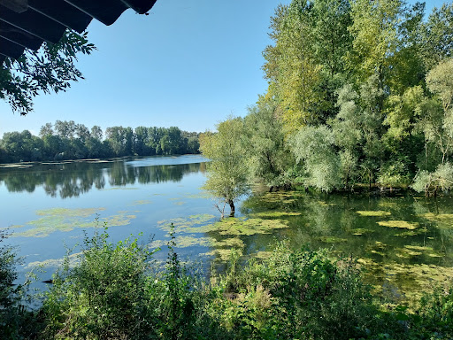 Bislicher Insel