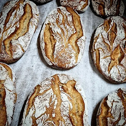 Photo n°36 de L'Epi d'Orb boulangerie pâtisserie artisanale à Cessenon-sur-Orb (Boulangerie)