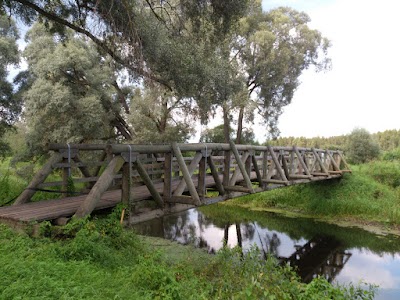 park