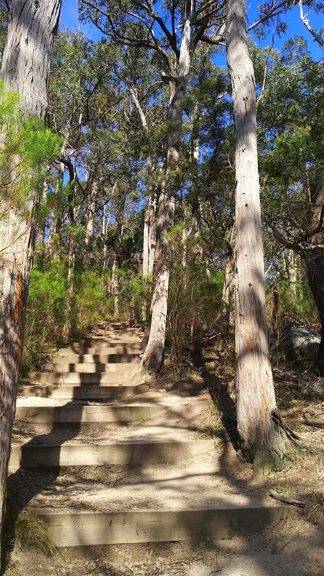 Mt Cannibal Flora and Fauna Reserve