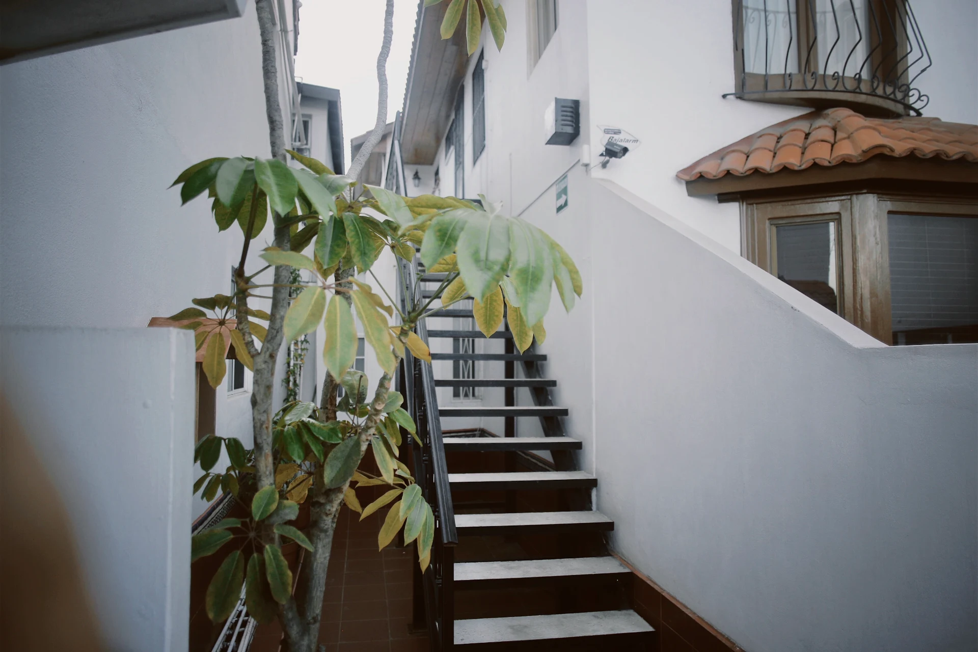 Casa Macfarland