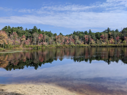 Harold Parker State Forest - Thumbnail
