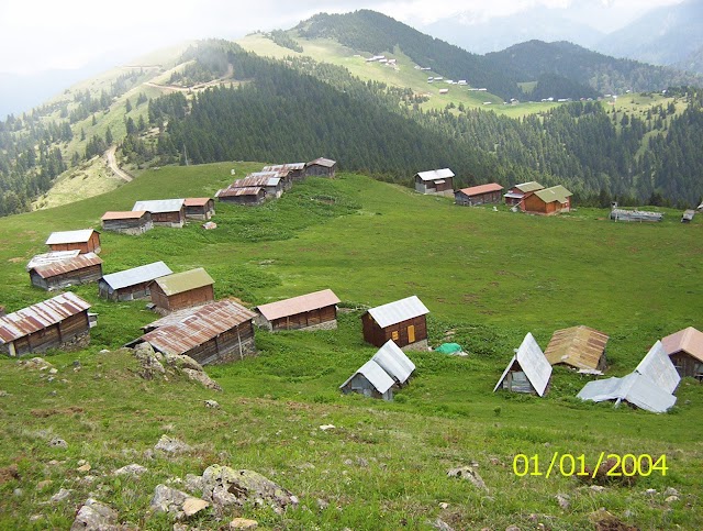 Pokut Yaylası