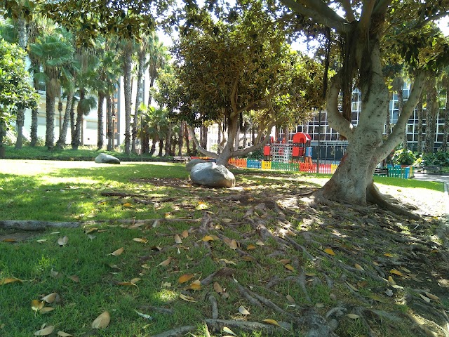 Fuente Luminosa