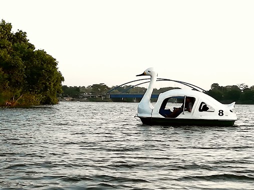 Swan Boat Service, Author: Chamika Randeera Amarasinghe