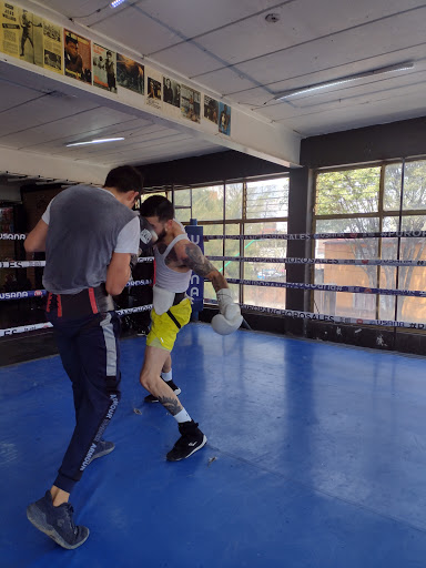 Pancho Rosales gym box Gallery - Mexico