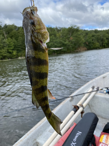 Dow's Boat Rental - Thumbnail