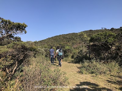 Photos of Thotupola Mountain of Sri Lanka