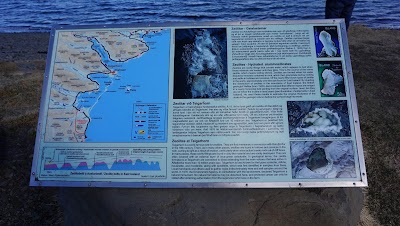 Photos of Teigarhorn Natural Monument and Nature Preserve
