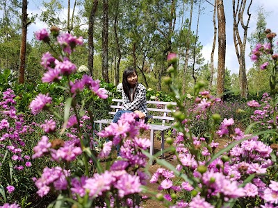 Photos of Taman Hortensia