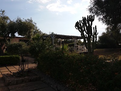 lodging