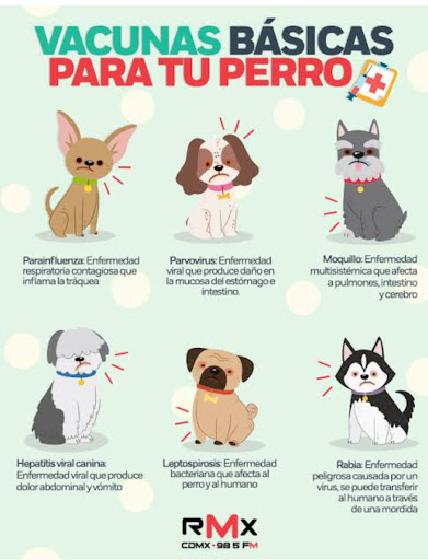 Clínica Veterinaria Capricho