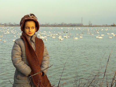 Photos of Kenar wetland