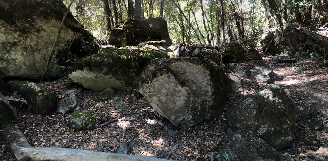 http://www.conaf.cl/parques/reserva-nacional-los-bellotos-del-melado/