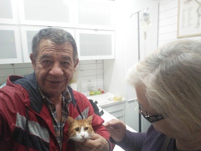 Photos of Animalistan Veteriner Klinigi