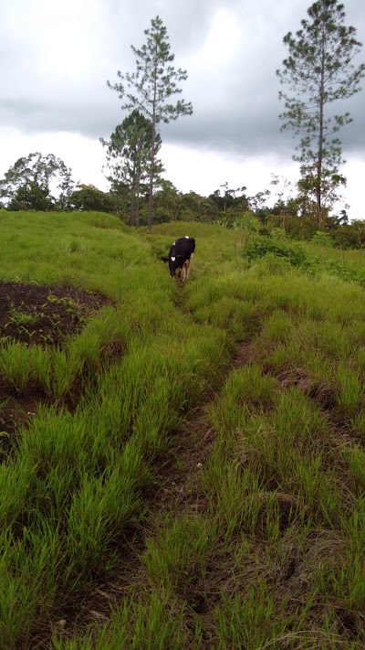 Photos of Nabaitavo