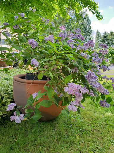 Photo de Poterie Jamet Laurent à Rouillé (86480)
